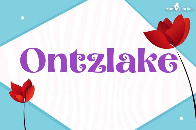 Ontzlake 3D Wallpaper