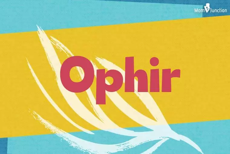 Ophir Stylish Wallpaper