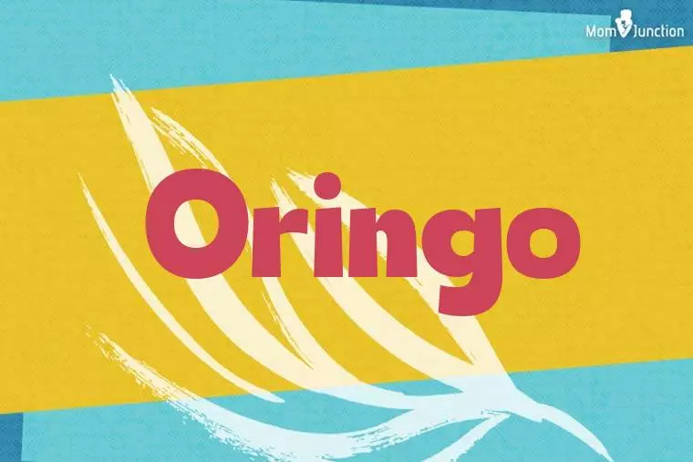 Oringo Stylish Wallpaper