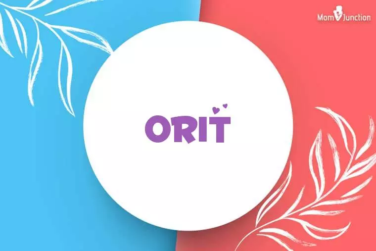 Orit Stylish Wallpaper