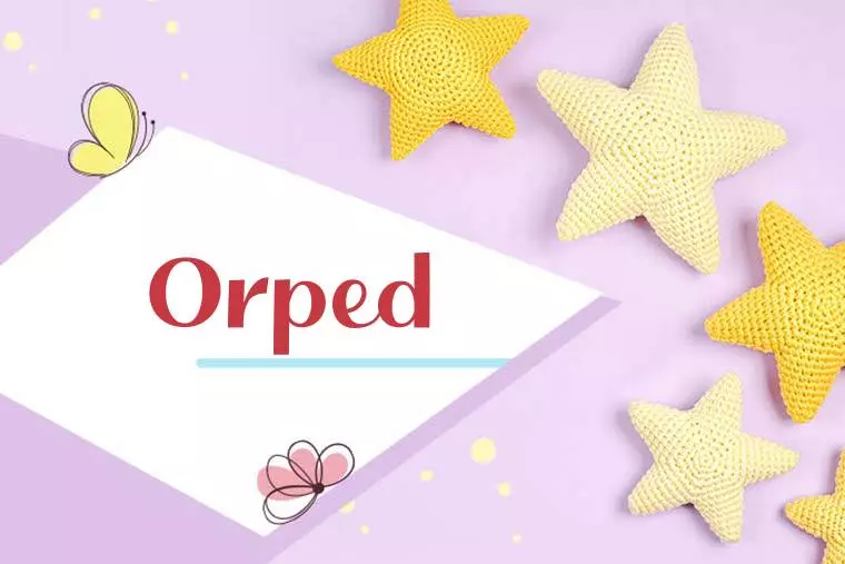 Orped Stylish Wallpaper