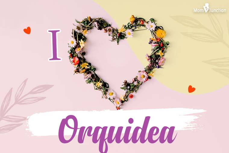I Love Orquidea Wallpaper