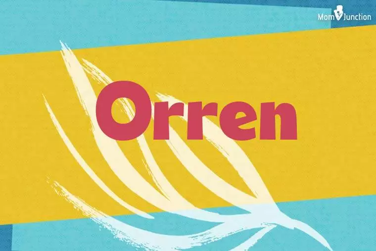 Orren Stylish Wallpaper