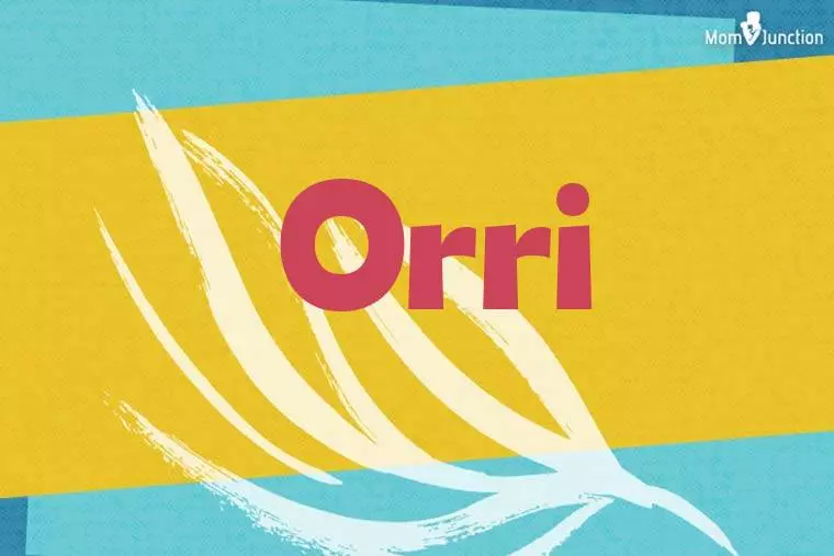 Orri Stylish Wallpaper