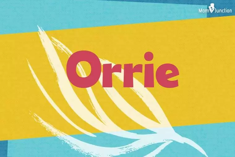 Orrie Stylish Wallpaper