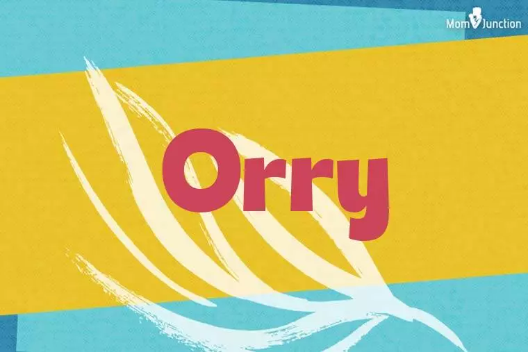 Orry Stylish Wallpaper