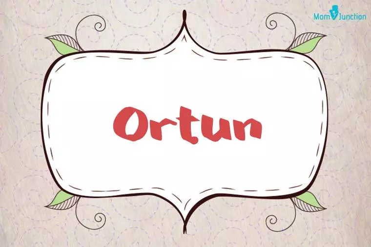 Ortun Stylish Wallpaper