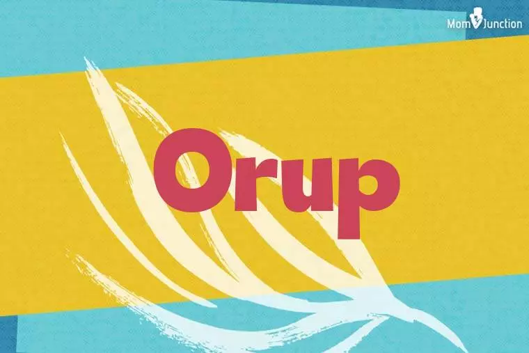 Orup Stylish Wallpaper