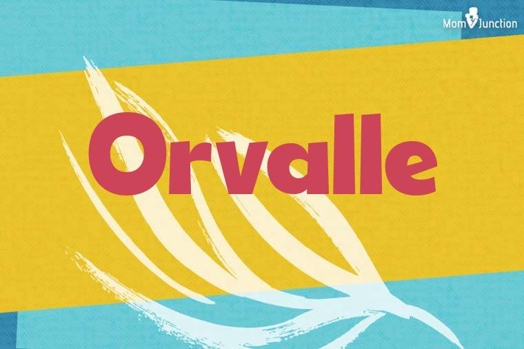 Orvalle Stylish Wallpaper