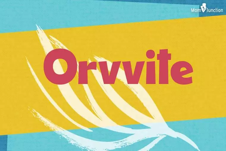 Orvvite Stylish Wallpaper