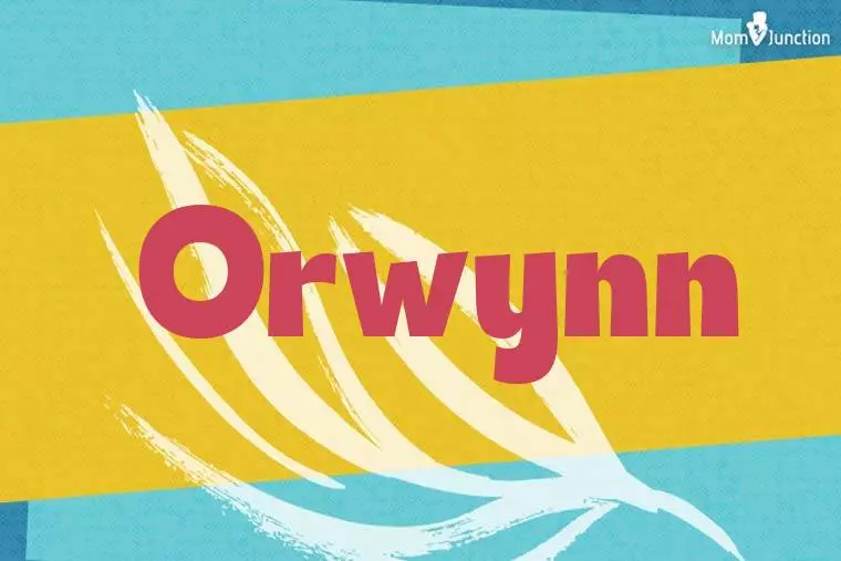 Orwynn Stylish Wallpaper