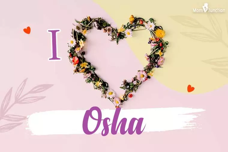 I Love Osha Wallpaper