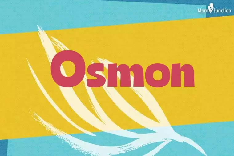 Osmon Stylish Wallpaper