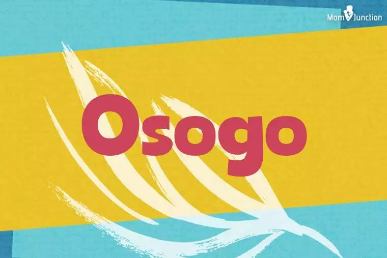 Osogo Stylish Wallpaper