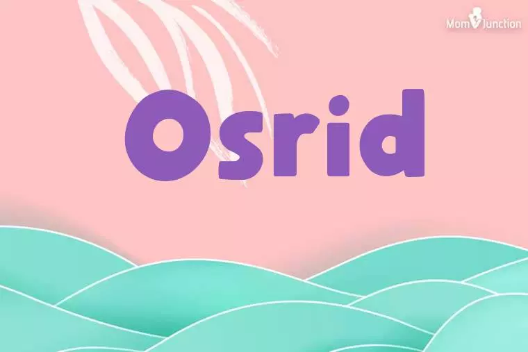 Osrid Stylish Wallpaper