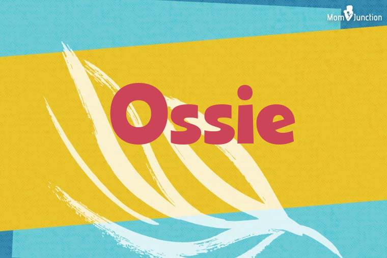 Ossie Stylish Wallpaper