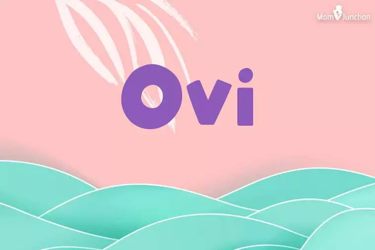 Ovi Stylish Wallpaper