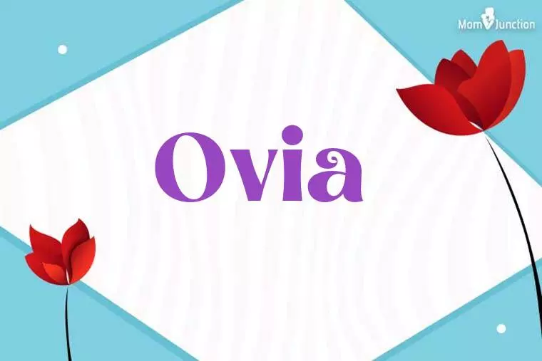 Ovia 3D Wallpaper