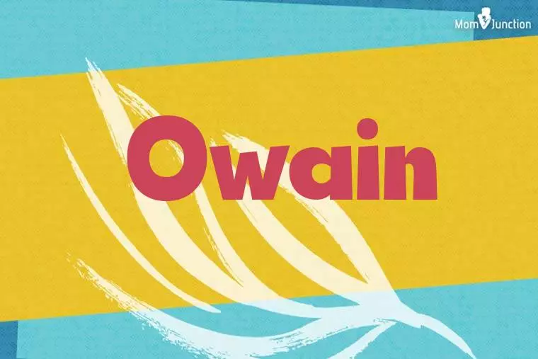 Owain Stylish Wallpaper