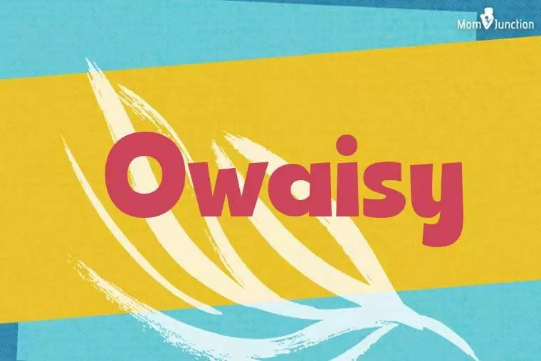 Owaisy Stylish Wallpaper