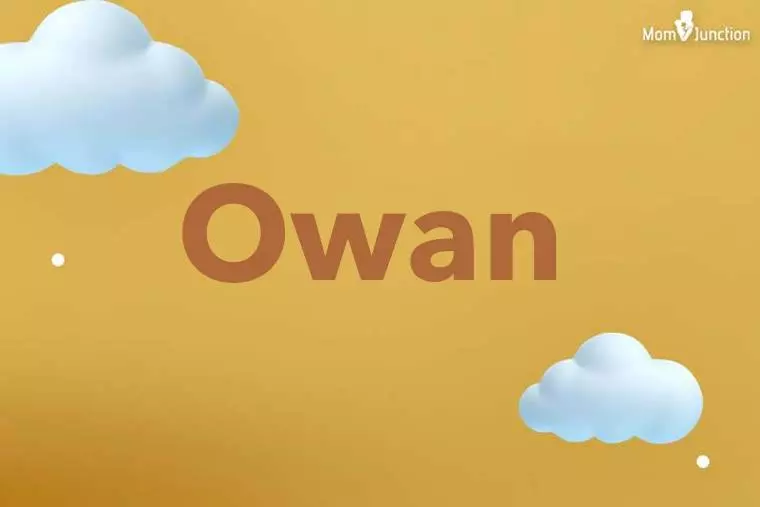 Owan 3D Wallpaper