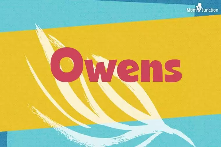 Owens Stylish Wallpaper