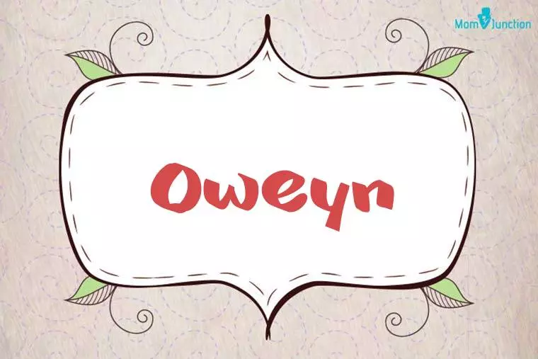 Oweyn Stylish Wallpaper