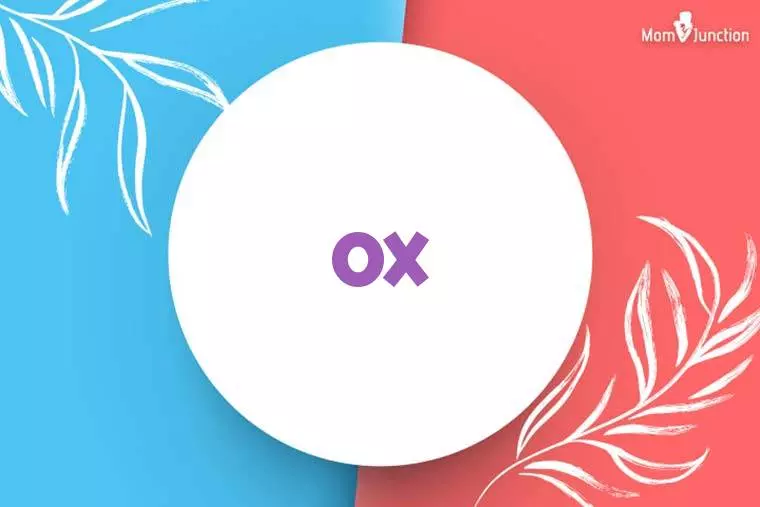 Ox Stylish Wallpaper