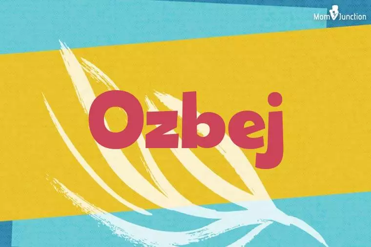 Ozbej Stylish Wallpaper