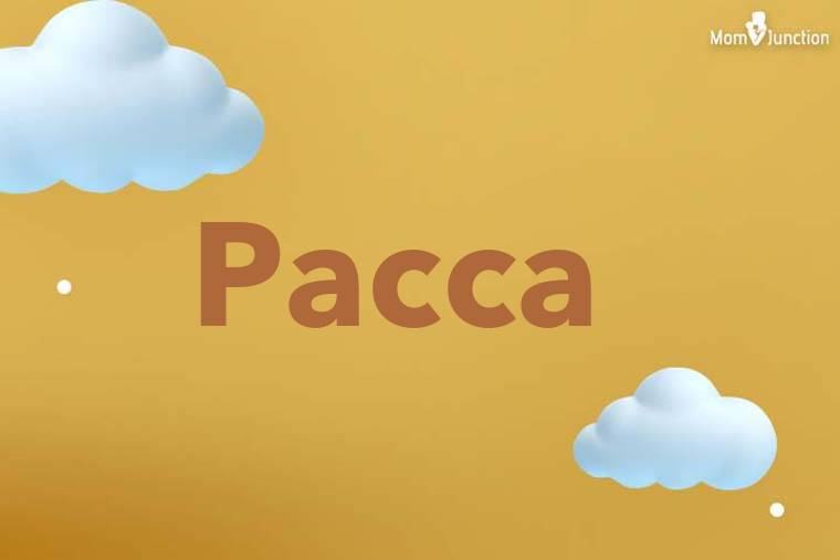 Pacca 3D Wallpaper