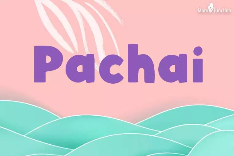 Pachai Stylish Wallpaper