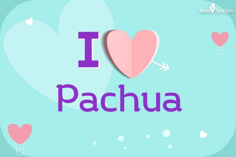 I Love Pachua Wallpaper