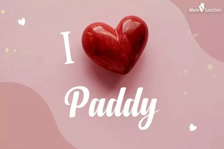 I Love Paddy Wallpaper