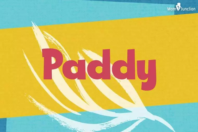 Paddy Stylish Wallpaper