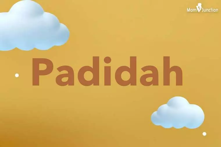 Padidah 3D Wallpaper