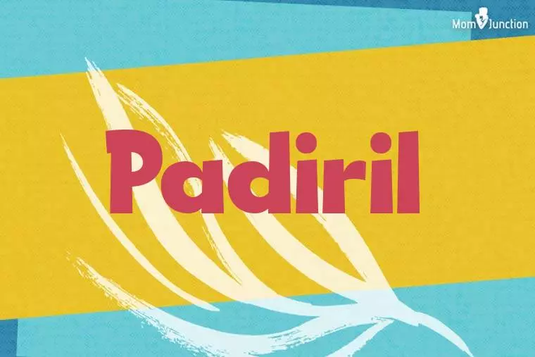 Padiril Stylish Wallpaper