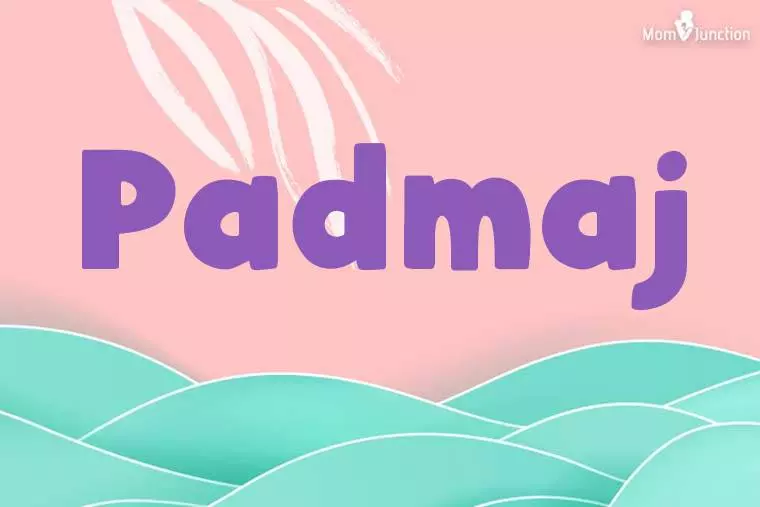 Padmaj Stylish Wallpaper