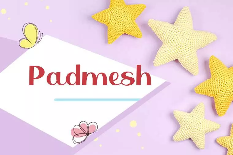 Padmesh Stylish Wallpaper