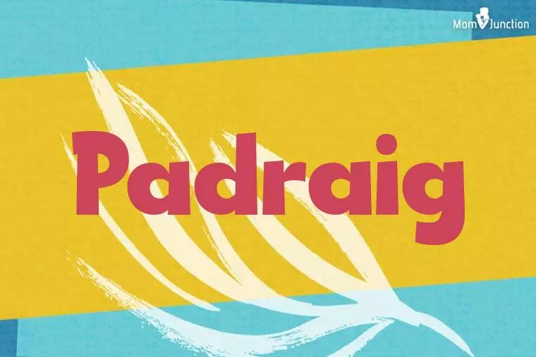 Padraig Stylish Wallpaper