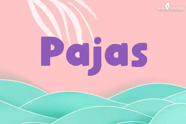 Pajas Stylish Wallpaper