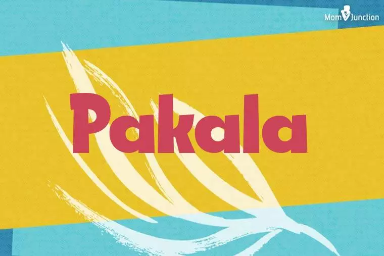 Pakala Stylish Wallpaper