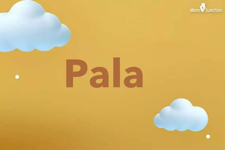 Pala 3D Wallpaper