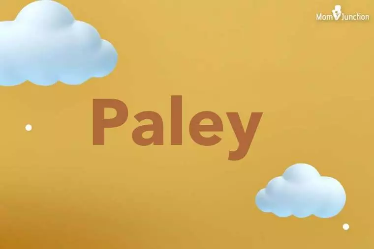 Paley 3D Wallpaper