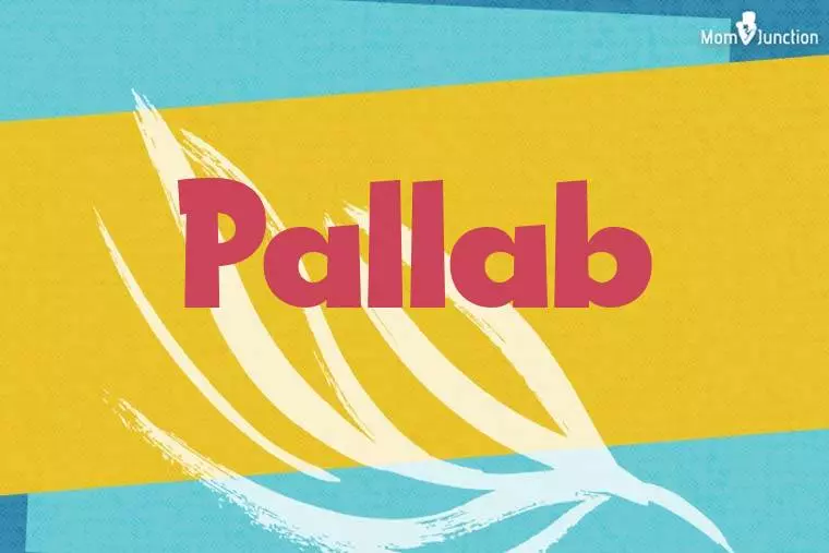 Pallab Stylish Wallpaper