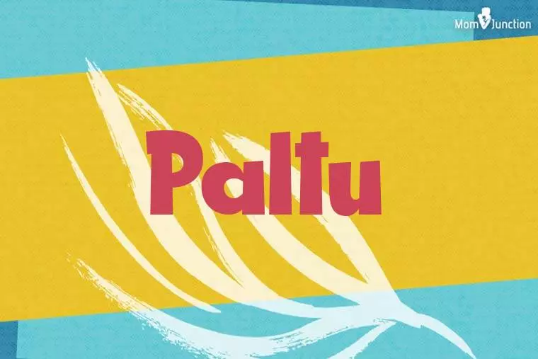 Paltu Stylish Wallpaper