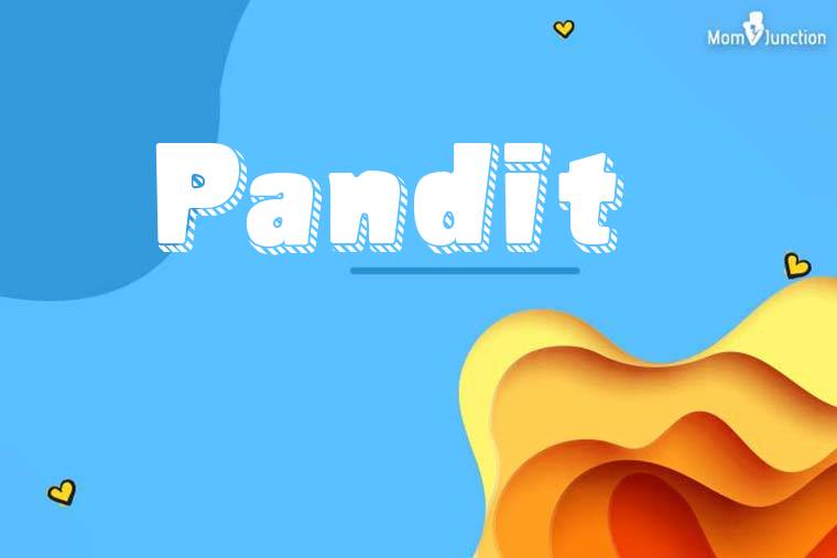 Pandit 3D Wallpaper