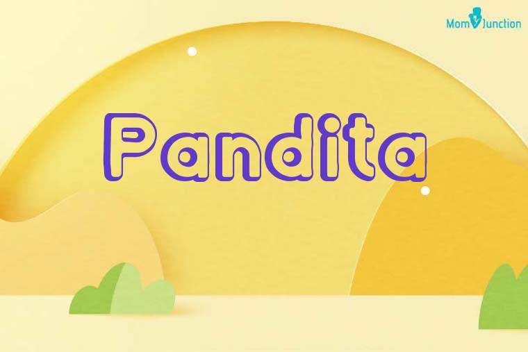 Pandita 3D Wallpaper