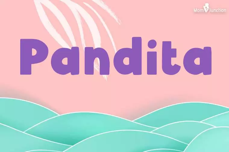 Pandita Stylish Wallpaper