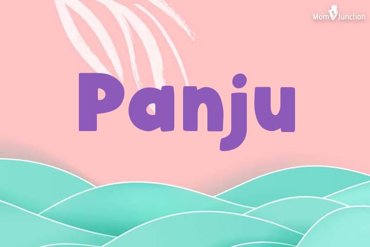 Panju Stylish Wallpaper