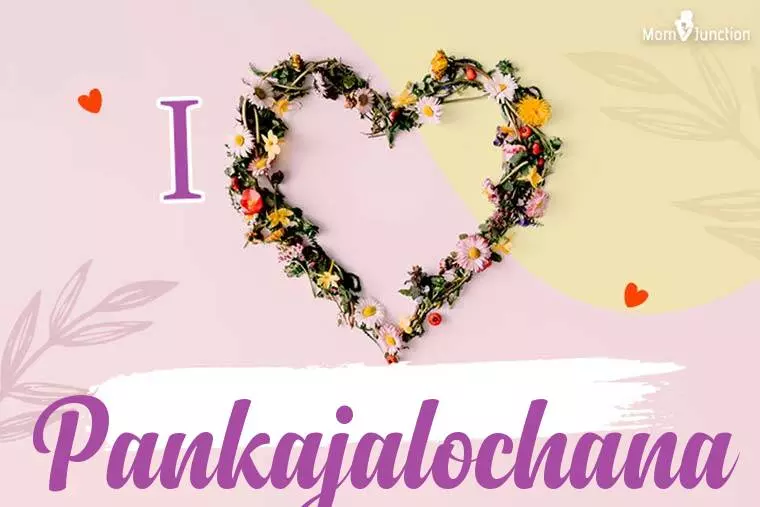 I Love Pankajalochana Wallpaper